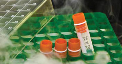 Cryogenic and Moist Labels